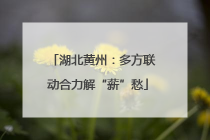 湖北黄州：多方联动合力解“薪”愁