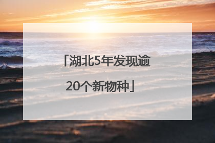 湖北5年发现逾20个新物种