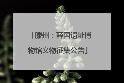 滕州：薛国遗址博物馆文物征集公告