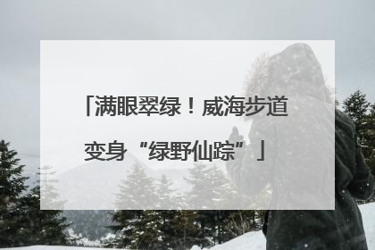 满眼翠绿！威海步道变身“绿野仙踪”