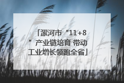 漯河市“11+8”产业链培育 带动工业增长领跑全省