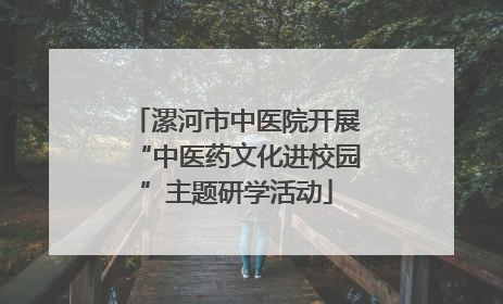 漯河市中医院开展“中医药文化进校园”主题研学活动