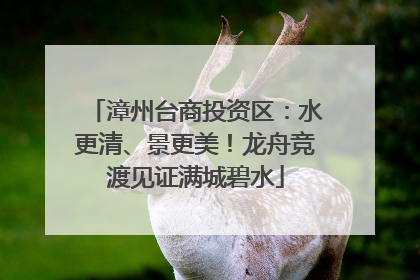 漳州台商投资区：水更清、景更美！龙舟竞渡见证满城碧水