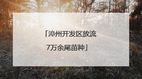 漳州开发区放流7万余尾苗种