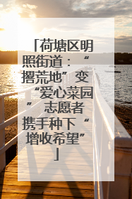 荷塘区明照街道：“撂荒地”变“爱心菜园” 志愿者携手种下“增收希望”