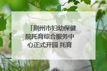 荆州市妇幼保健院托育综合服务中心正式开园 托育宣传月同步启动