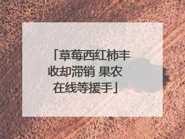 草莓西红柿丰收却滞销 果农在线等援手