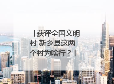 获评全国文明村 新乡县这两个村为啥行？