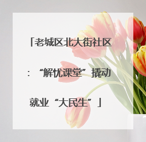 老城区北大街社区：“解忧课堂”撬动就业“大民生”