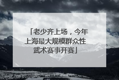 老少齐上场，今年上海最大规模群众性武术赛事开赛