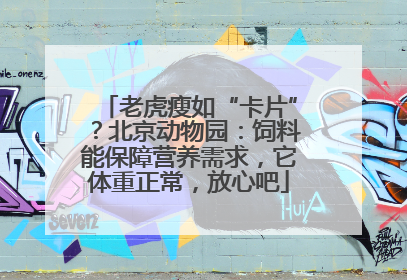 老虎瘦如“卡片”？北京动物园：饲料能保障营养需求，它体重正常，放心吧