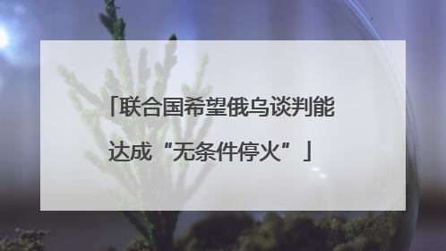 联合国希望俄乌谈判能达成“无条件停火”