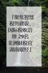 聚焦智慧税务建设、国际税收治理 29名非洲财税官湖南取经