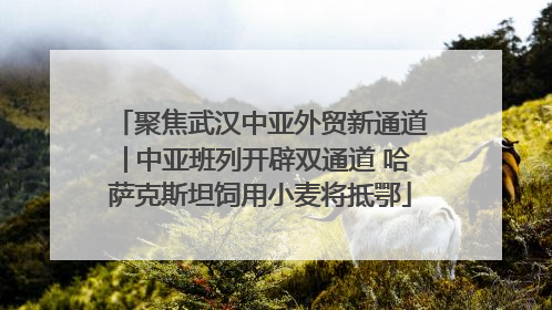 聚焦武汉中亚外贸新通道│中亚班列开辟双通道 哈萨克斯坦饲用小麦将抵鄂