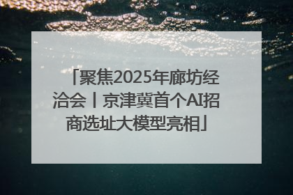 聚焦2025年廊坊经洽会丨京津冀首个AI招商选址大模型亮相