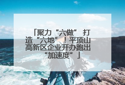 聚力“六做” 打造“六地”！平顶山高新区企业开办跑出“加速度”