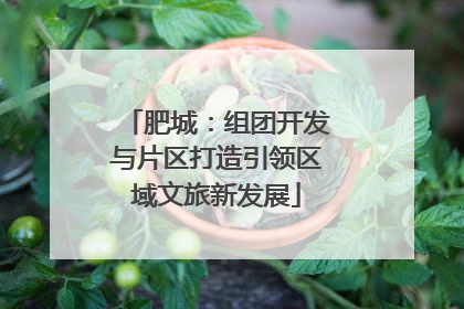 肥城：组团开发与片区打造引领区域文旅新发展