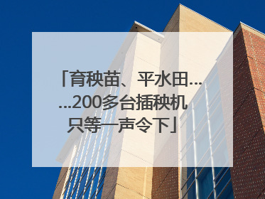 育秧苗、平水田……200多台插秧机只等一声令下