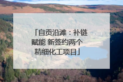 自贡沿滩：补链赋能 新签约两个精细化工项目