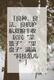 良种、良法、良机护航夏粮丰收 居民“菜篮子”“果盘子”满满“科技范儿”