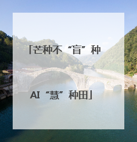 芒种不“盲”种 AI“慧”种田