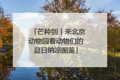芒种到丨来北京动物园看动物们的夏日纳凉图鉴