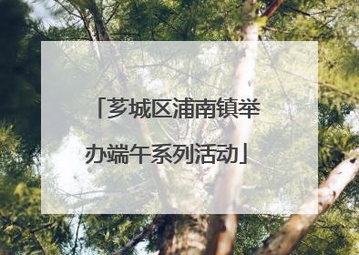 芗城区浦南镇举办端午系列活动