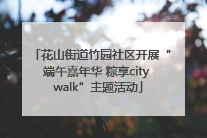 花山街道竹园社区开展“端午嘉年华 粽享city walk”主题活动