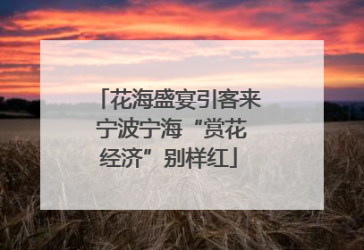 花海盛宴引客来 宁波宁海“赏花经济”别样红