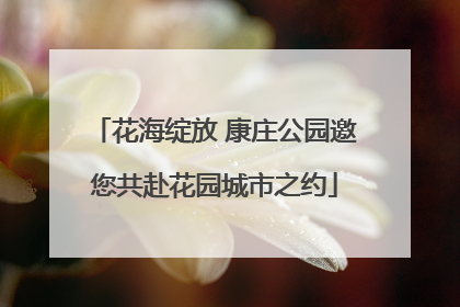 花海绽放 康庄公园邀您共赴花园城市之约