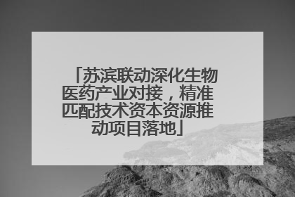 苏滨联动深化生物医药产业对接，精准匹配技术资本资源推动项目落地