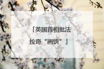英国首相批法拉奇“画饼”