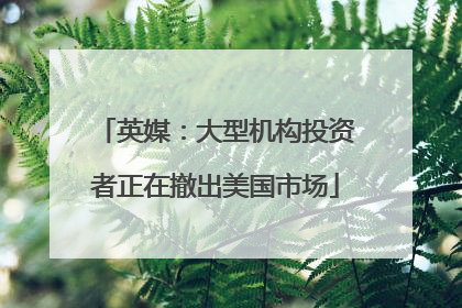 英媒：大型机构投资者正在撤出美国市场