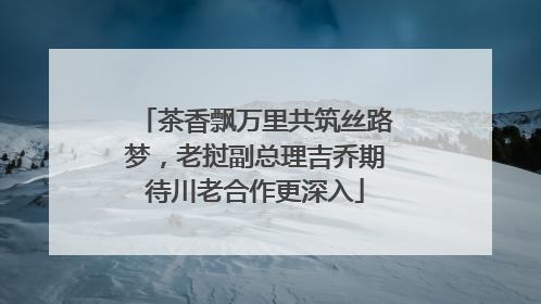 茶香飘万里共筑丝路梦，老挝副总理吉乔期待川老合作更深入