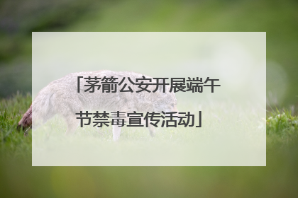 茅箭公安开展端午节禁毒宣传活动