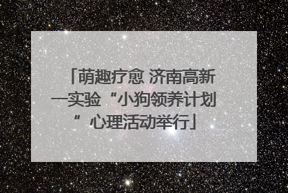 萌趣疗愈 济南高新一实验“小狗领养计划”心理活动举行