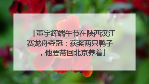 董宇辉端午节在陕西汉江赛龙舟夺冠：获奖两只鸭子，他要带回北京养着