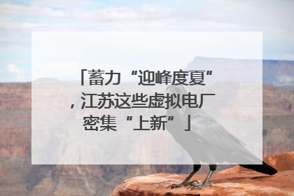 蓄力“迎峰度夏”，江苏这些虚拟电厂密集“上新”