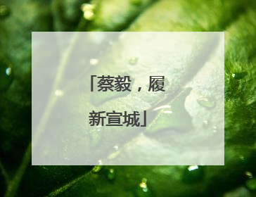 蔡毅，履新宣城