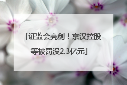 证监会亮剑！京汉控股等被罚没2.3亿元