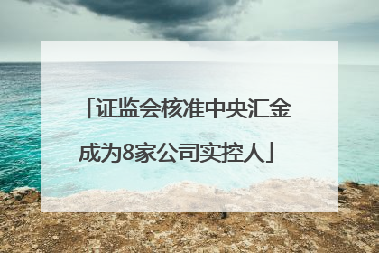 证监会核准中央汇金成为8家公司实控人