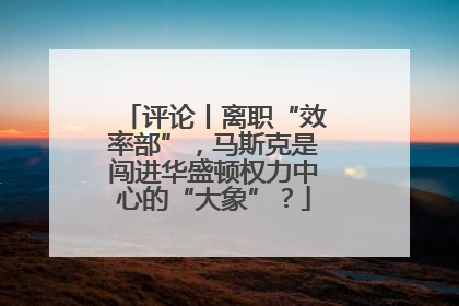 评论丨离职“效率部”，马斯克是闯进华盛顿权力中心的“大象”？