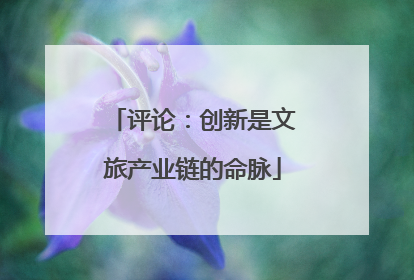 评论：创新是文旅产业链的命脉