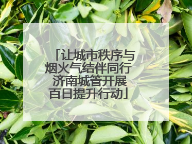 让城市秩序与烟火气结伴同行 济南城管开展百日提升行动