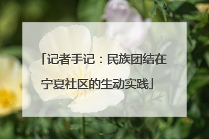 记者手记：民族团结在宁夏社区的生动实践