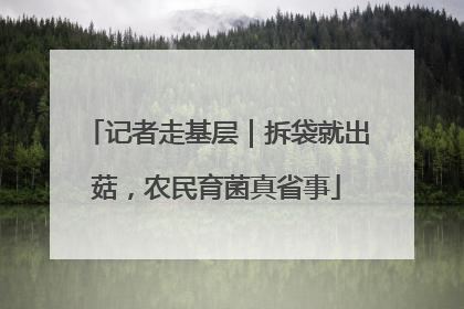 记者走基层｜拆袋就出菇，农民育菌真省事
