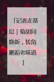 记者走基层｜菊胡同焕新，转角邂逅老味道