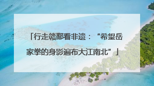 行走赣鄱看非遗：“希望岳家拳的身影遍布大江南北”