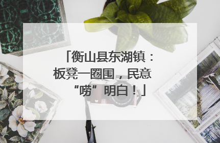衡山县东湖镇：板凳一圈围，民意“唠”明白！