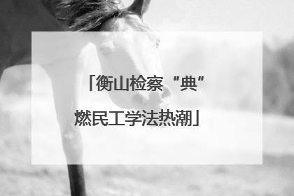 衡山检察“典”燃民工学法热潮